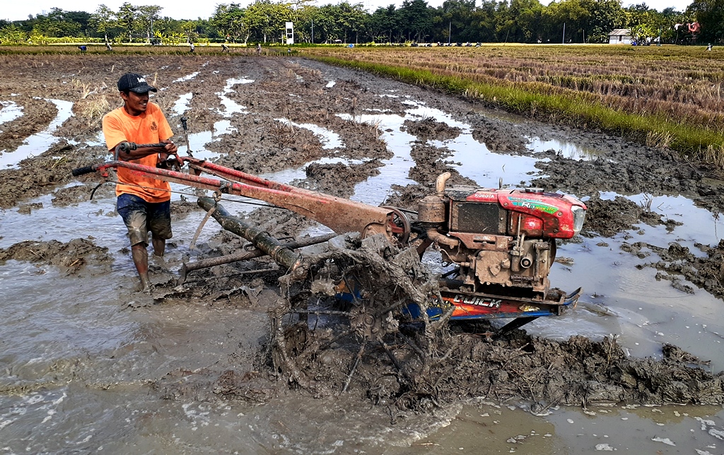 cara mengatur kedalaman kerja mesin cultivator