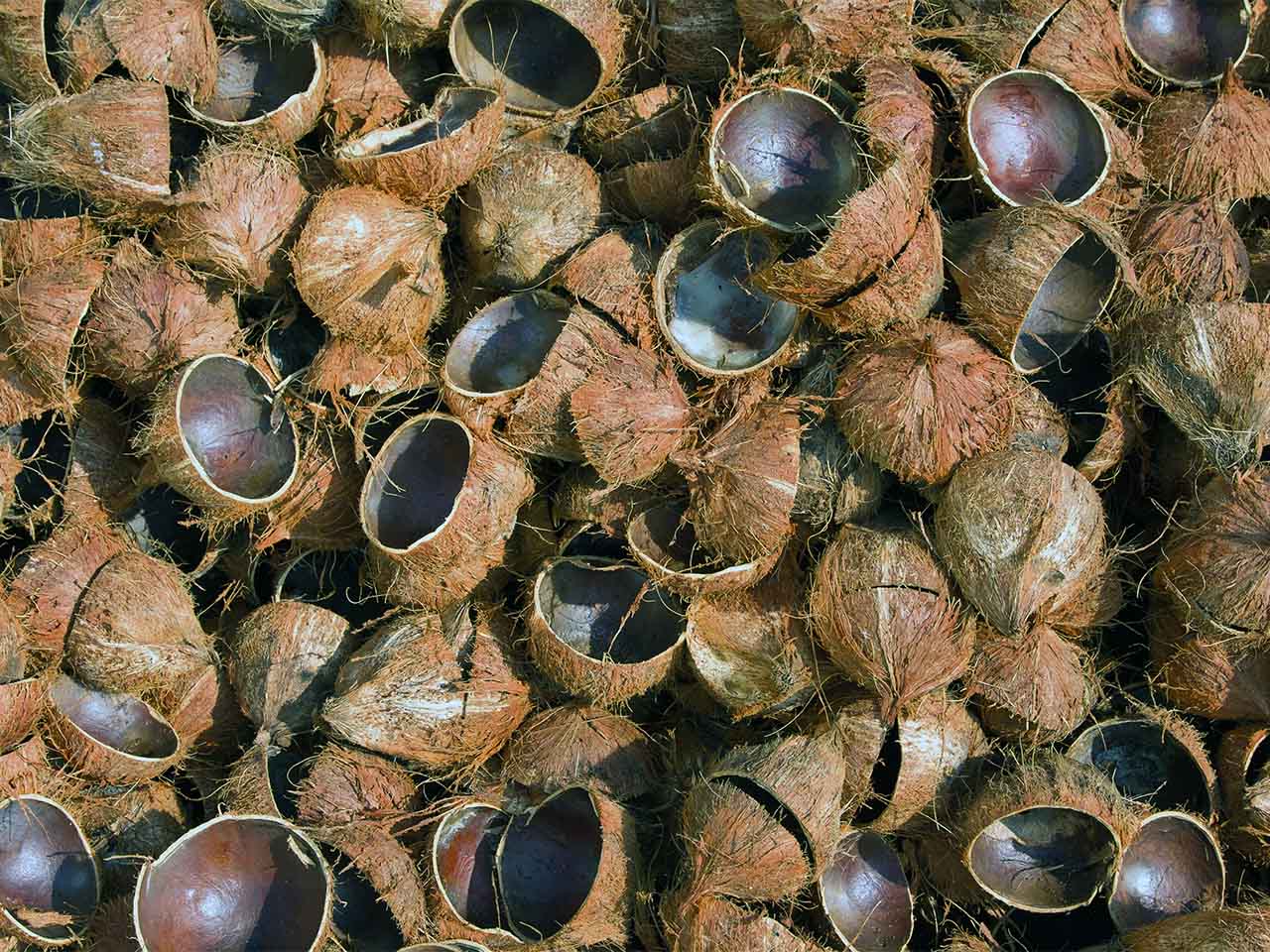 cara kerja alat pirolisis tempurung kelapa